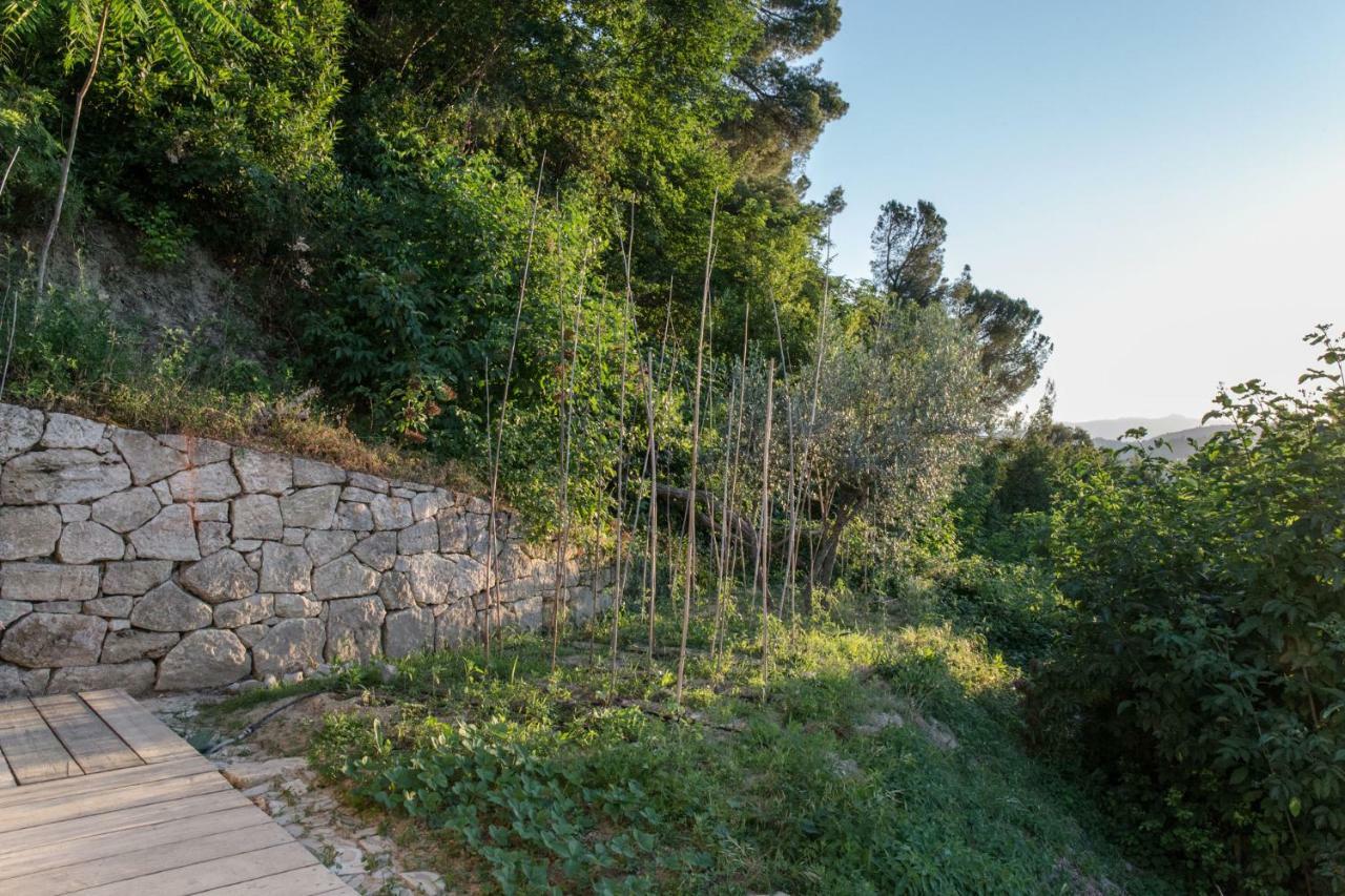 Villa Fortezza Antique Rooms Ascoli Piceno Exteriér fotografie